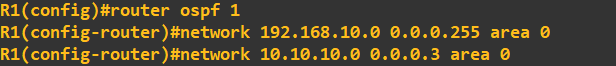 ospfnetworks1