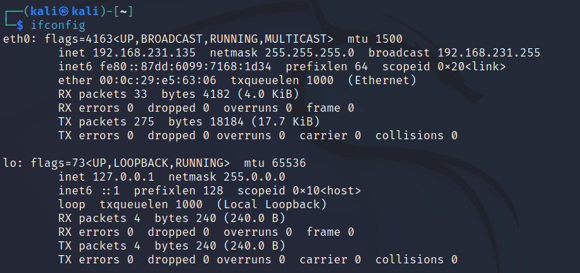 kali setup image